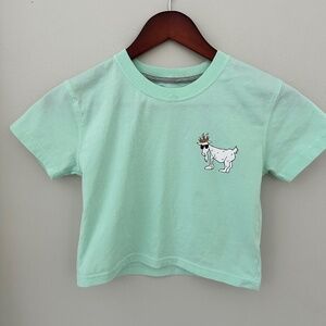 Girls cropped t-shirt sporty GOAT USA Mint Green